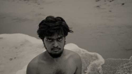 A Fly Floating In The Midst Of The Milk