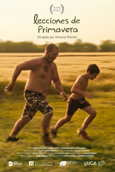 Spring Lessons poster