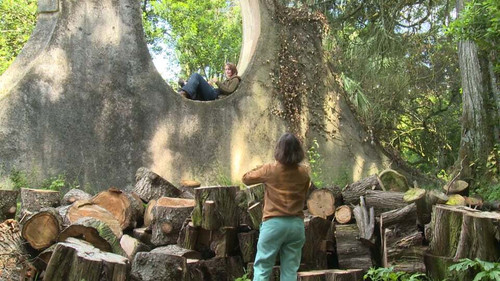 Philosophical Journeys