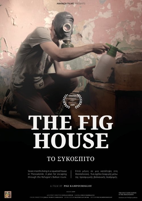 The Fig House movie poster player