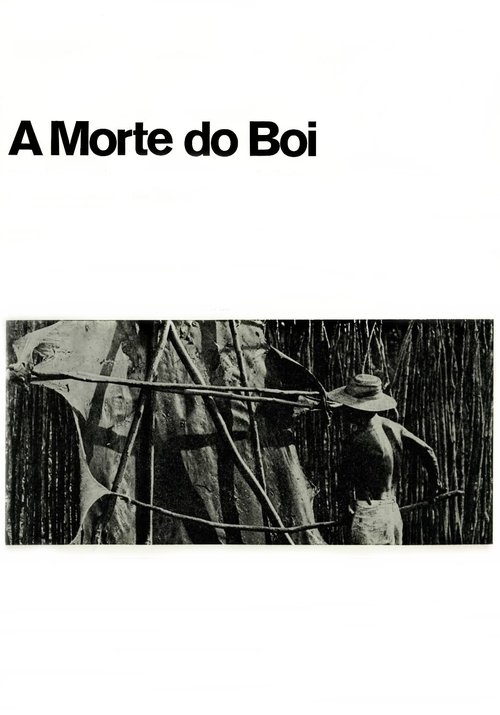 A Morte do Boi 1970