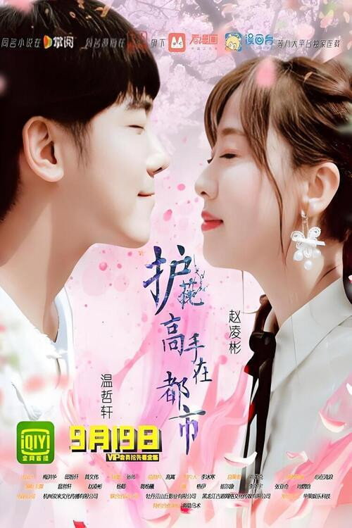 护花高手在都市 Poster