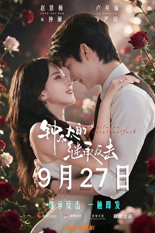 Affiche de 钟太太的继承反击