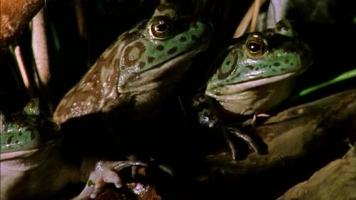 Image de l'épisode 20