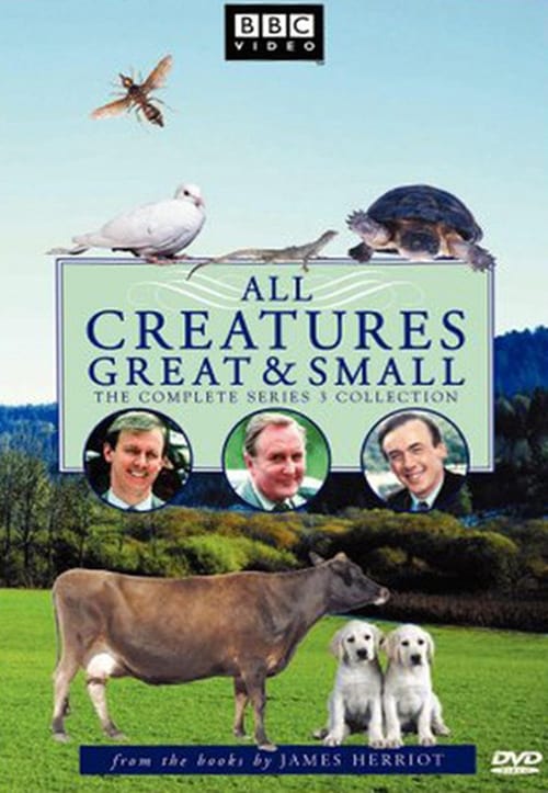 Where to stream All Creatures Great and Small Season 3
