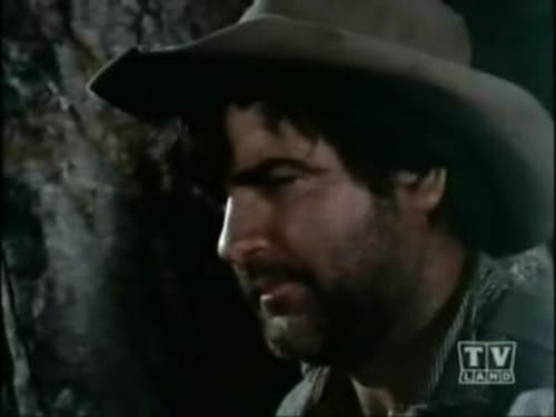 Poster della serie Gunsmoke