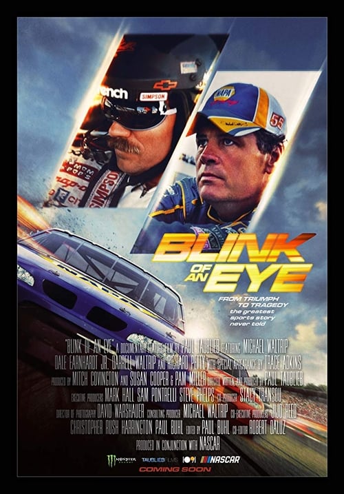 Blink of an Eye poster