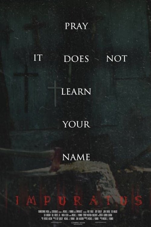 Poster 3