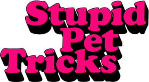 Stupid Pet Tricks