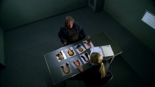 Poster della serie Fringe