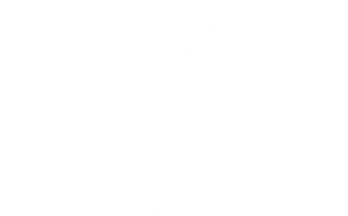 Megaria21 | Tomorrowland Festival