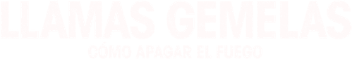 Fugindo do Twin Flames - Logo 3