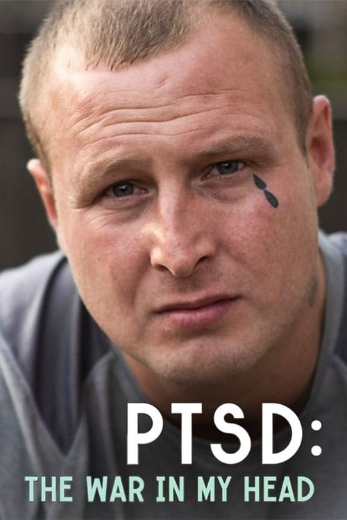 PTSD: The War in My Head (2019)