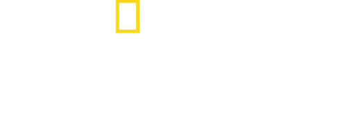 Tubarão: Por Trás de um Clássico - Logo 3