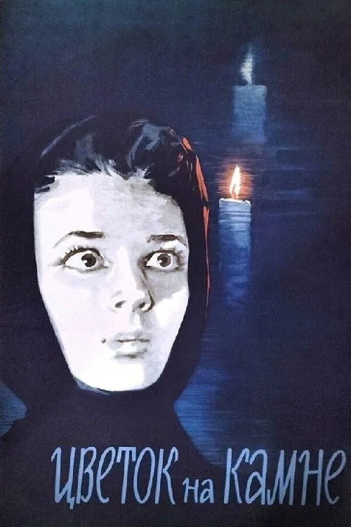 Flower on the Stone poster