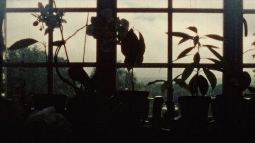 Movement and Stillness