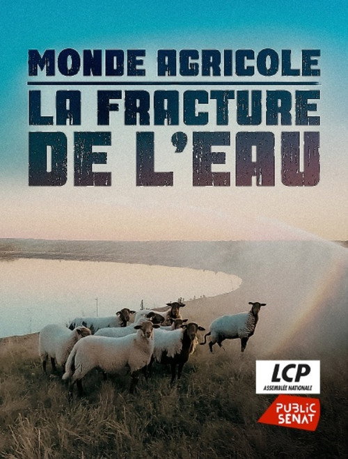 Image du film