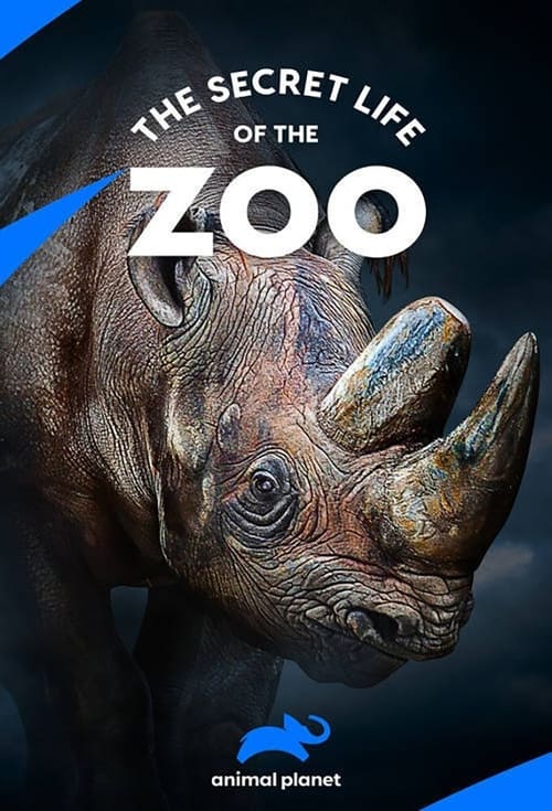 Where to stream The Secret Life of the Zoo Season 5