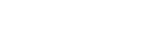 Wasp Network