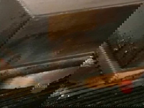 Escena del episodio 9 de la temporada 9 de la serie Diners, Drive-Ins and Dives