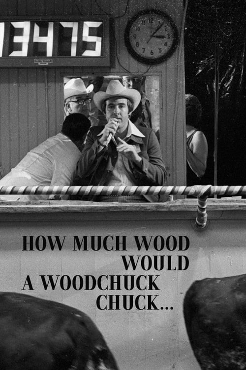 How Much Wood Would a Woodchuck Chuck: Beobachtungen zu einer neuen Sprache 1976