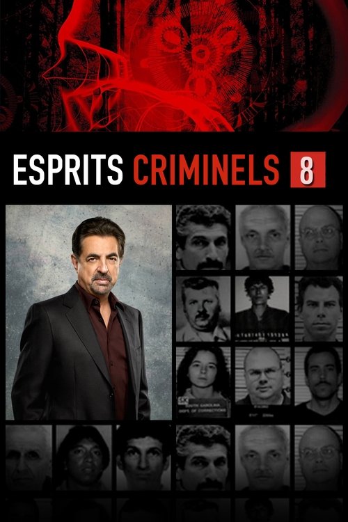 Esprits criminels, S08 - (2012)