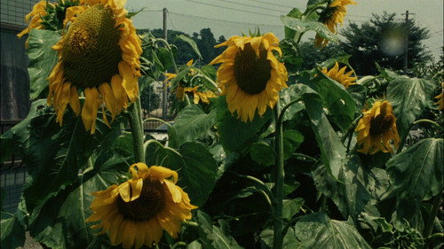 A New Love in Tokyo — still 19