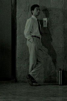 A Briefcase Full of Reflexive Maladies poster