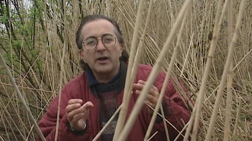 Image de l'épisode 1