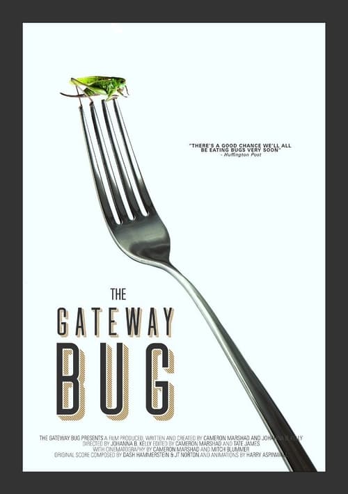 What's The Gateway Bug