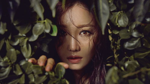 Hide and Seek backdrop 3