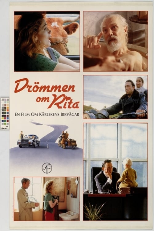 Drömmen om Rita 1993