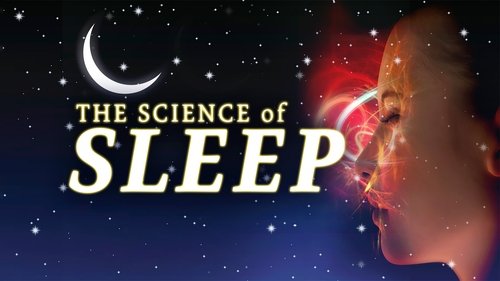 The Science of Sleep image 2