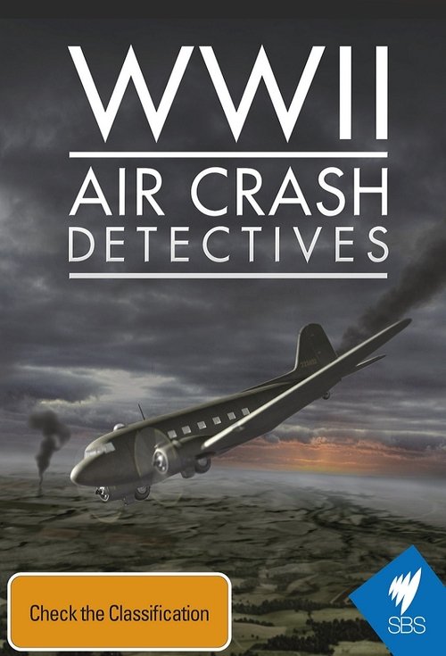 WW2 Air Crash Detectives (2014) poster
