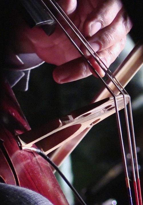 Cartell de Konfrontationen 2014