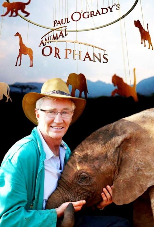 Poster Paul O'Grady's Animal Orphans