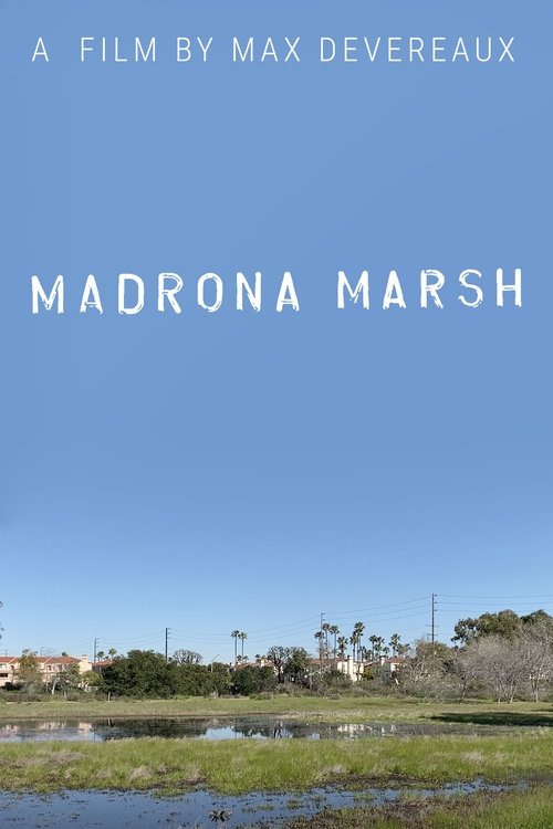 Madrona Marsh