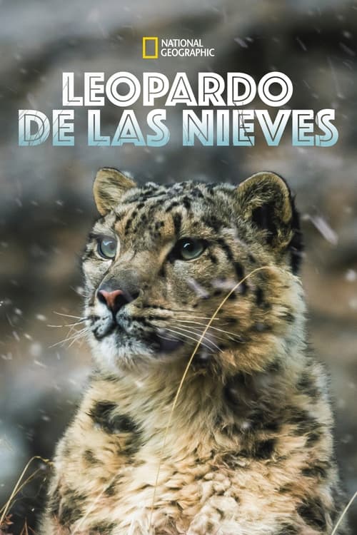 The Frozen Kingdom of The Snow Leopard poster