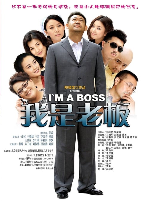 我是老板 (2009)