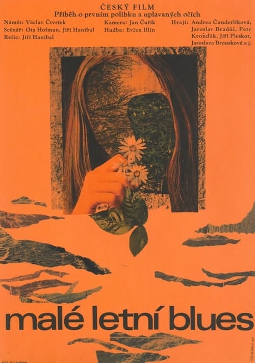 Poster Malé letní blues 1968