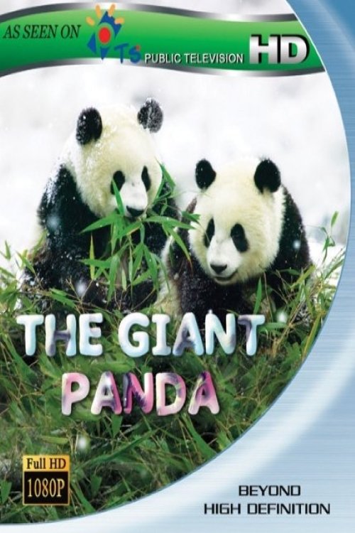 The Giant Panda 2010