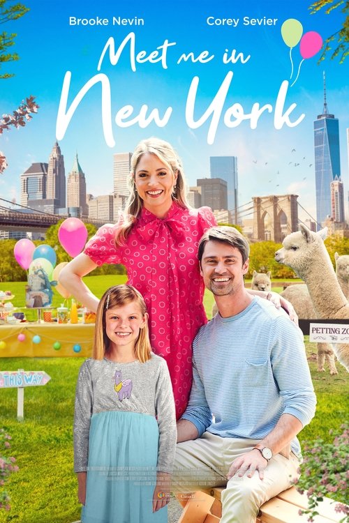 Meet Me in New York poster