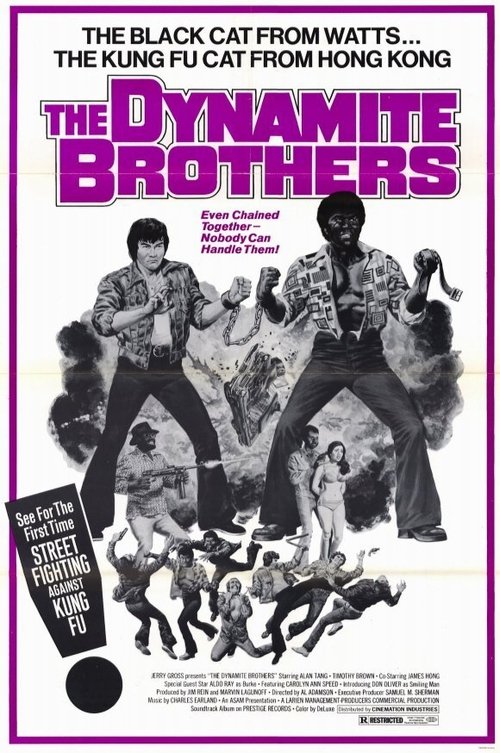 Dynamite Brothers movie poster player