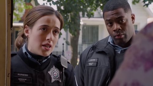 Chicago P.D. Distrito 21: 1×4