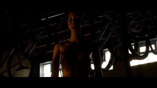 owl-carousel-video-image