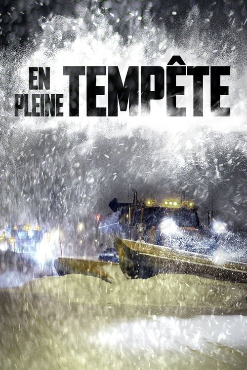 Poster En pleine tempête