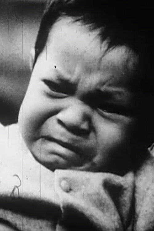 Le Témoin ou la timide espérance - FİLM Afişi