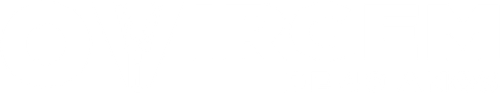 O Virgem de 40 Anos - Logo 3