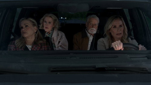 Poster della serie Leanne