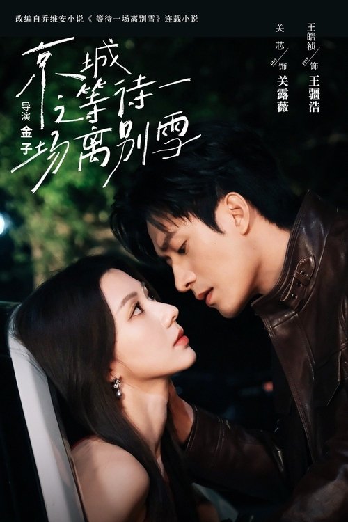 Waiting For A Farewell Snow Poster